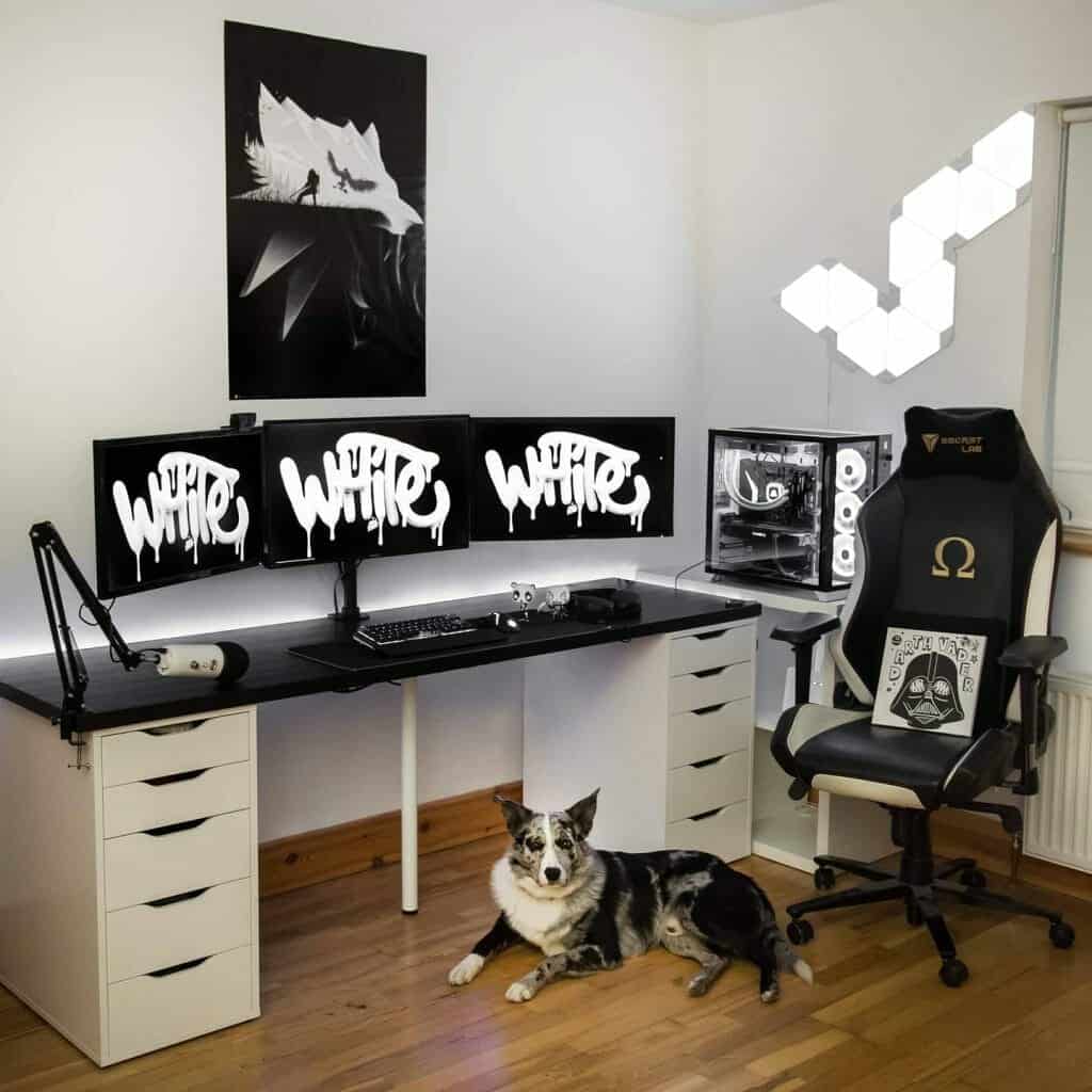 Black and white gaming setup