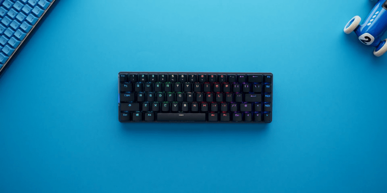 How To Choose The Right Keyboard Size? - Guide - GPCD