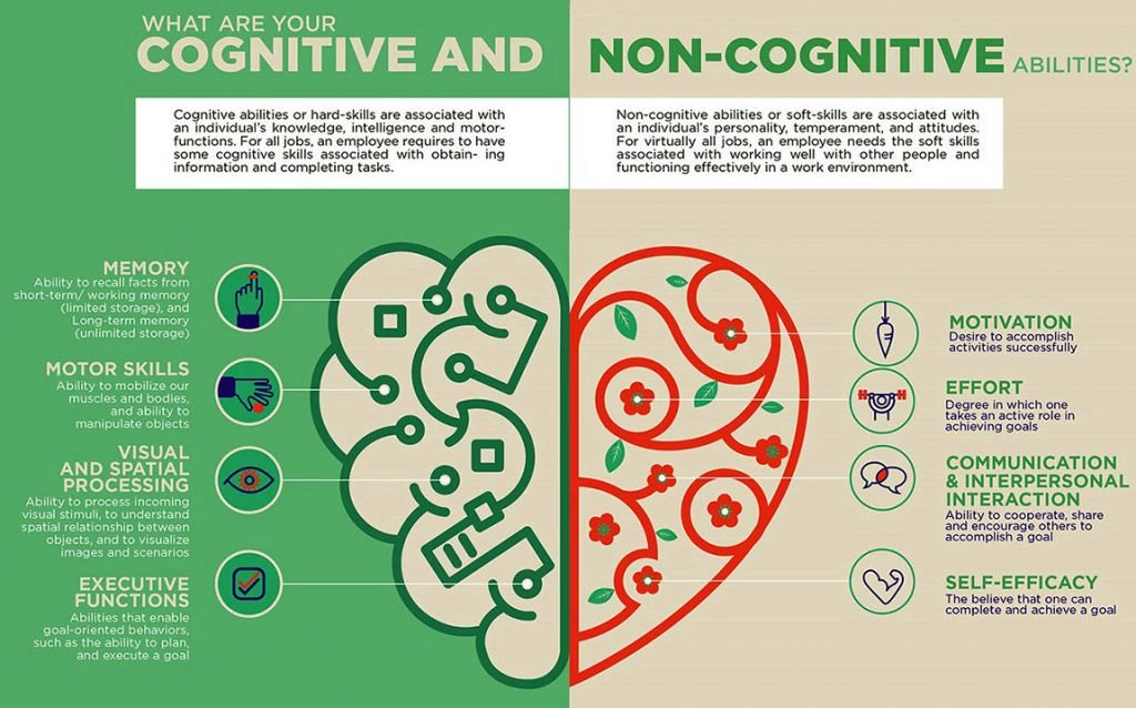 Cognitive Skills vs Non-Cognitive Skills
