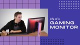 How Long Does A Gaming Monitor Last?